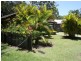 Tewantin QLD 4565