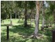 Tewantin QLD 4565