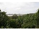 Tewantin QLD 4565