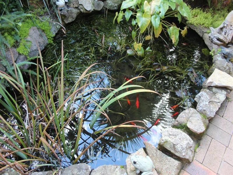 24 George Street, Tenterfield NSW 2372