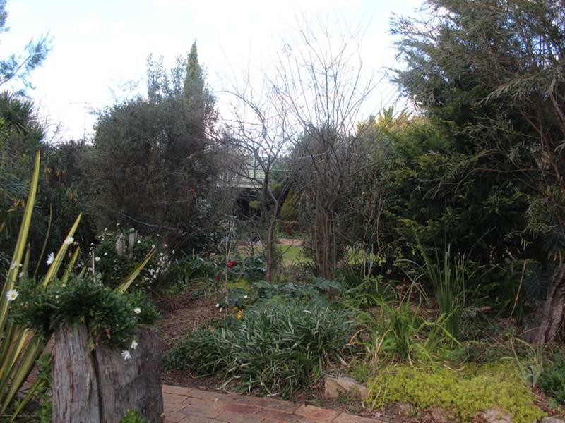 24 George Street, Tenterfield NSW 2372