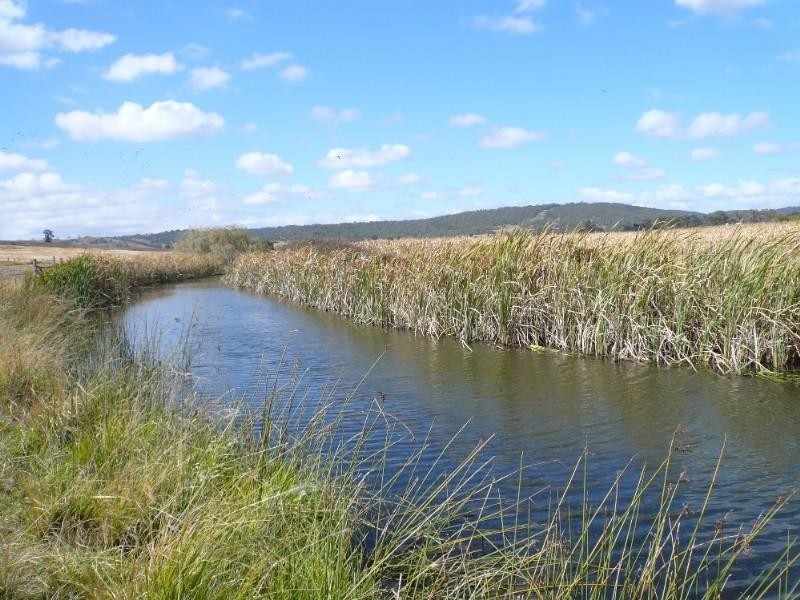 Tenterfield NSW 2372