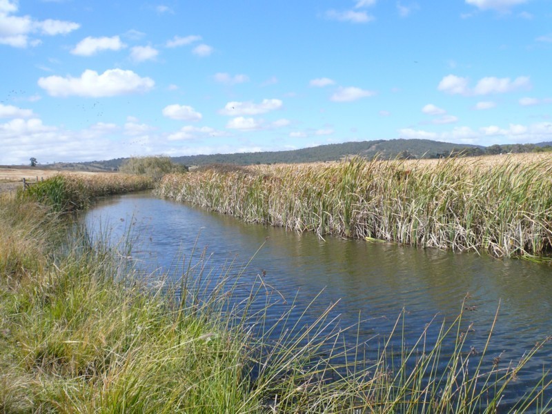 Tenterfield NSW 2372