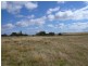 Tenterfield NSW 2372