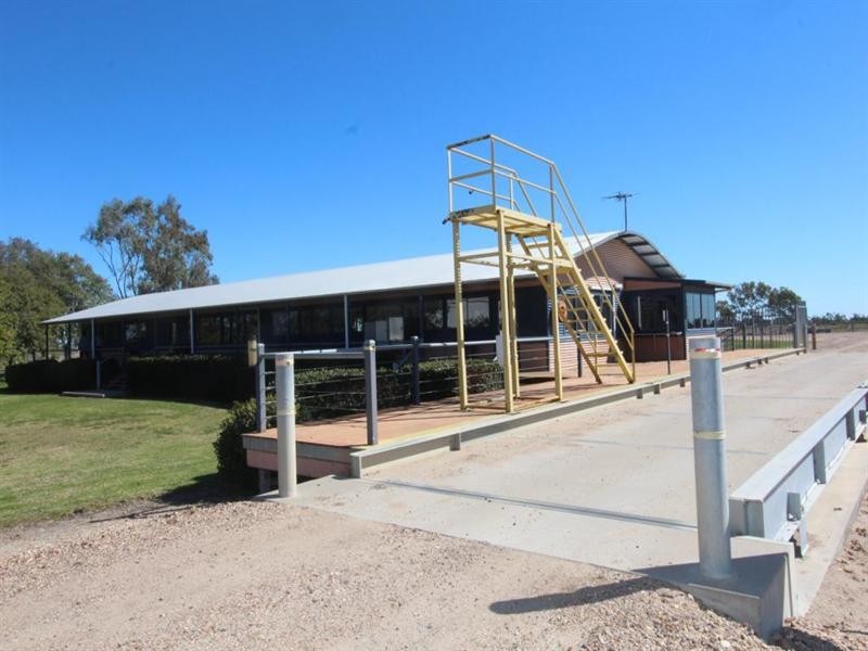 50 Burrington Road, Moree NSW 2400