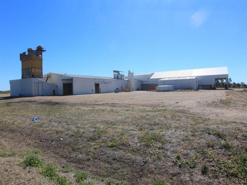 50 Burrington Road, Moree NSW 2400