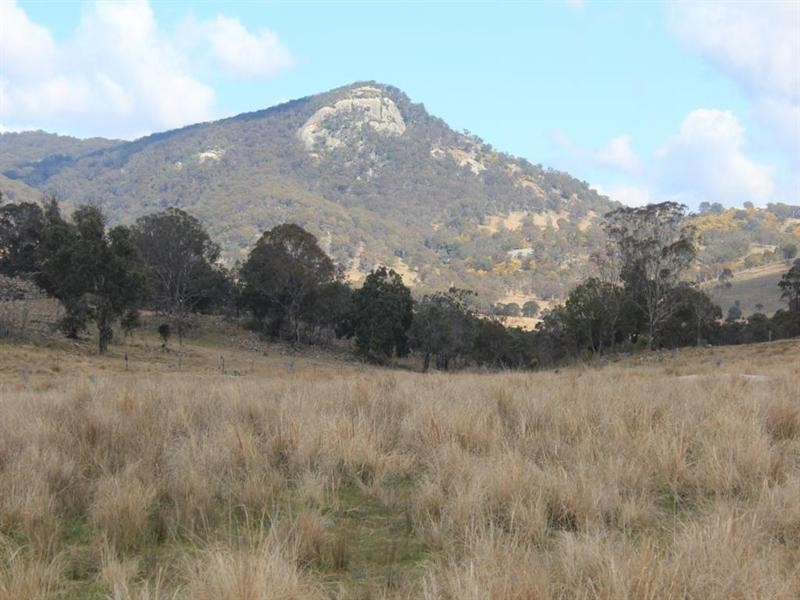 68 and 69 Sunnyside Loop Road, Tenterfield NSW 2372