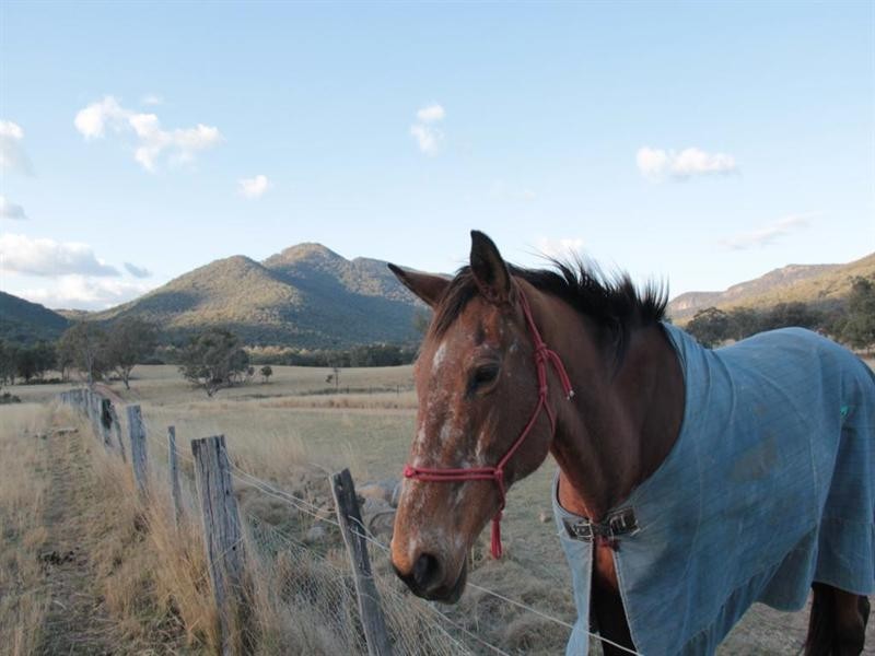 “Rockdale” Back Creek Road, Tenterfield NSW 2372