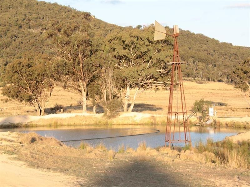 “Rockdale” Back Creek Road, Tenterfield NSW 2372