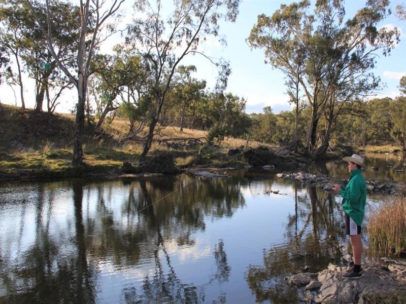 “Rockdale” Back Creek Road, Tenterfield NSW 2372