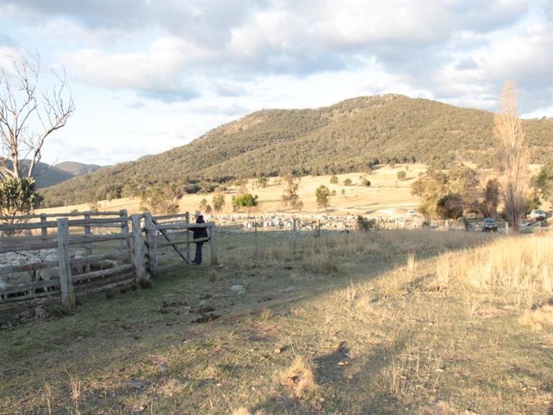 “Rockdale” Back Creek Road, Tenterfield NSW 2372
