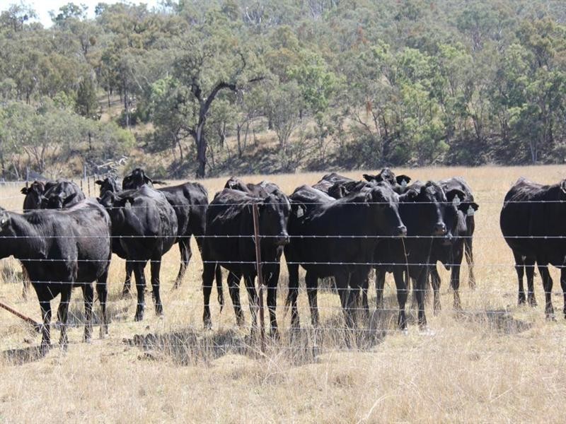 “Rockdale” Back Creek Road, Tenterfield NSW 2372
