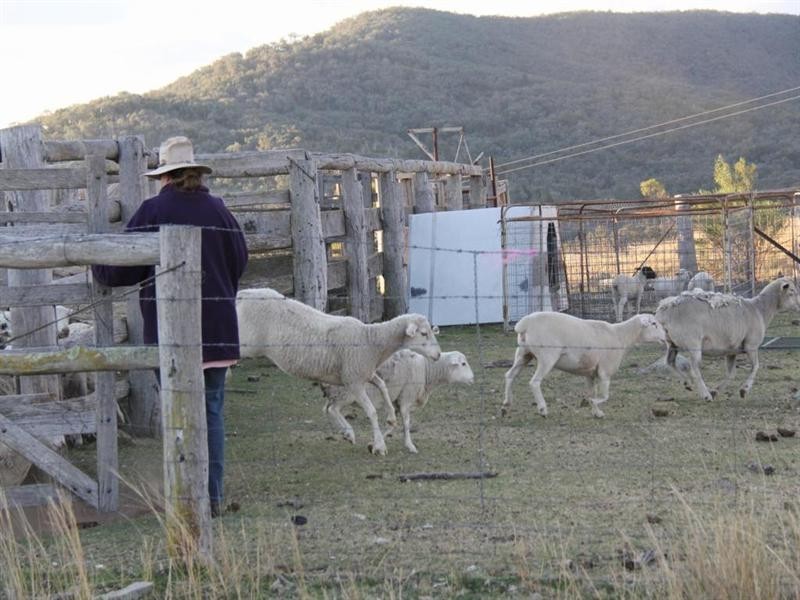 “Rockdale” Back Creek Road, Tenterfield NSW 2372