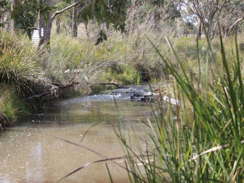 Lot 55 Tarban Road, Tenterfield NSW 2372
