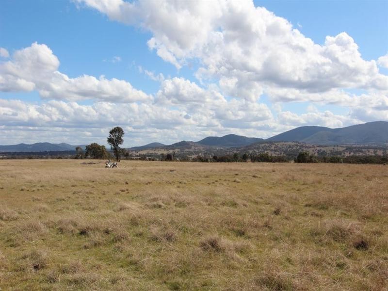 Lot 55 Tarban Road, Tenterfield NSW 2372