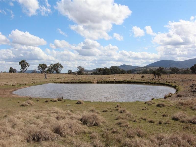 Lot 55 Tarban Road, Tenterfield NSW 2372