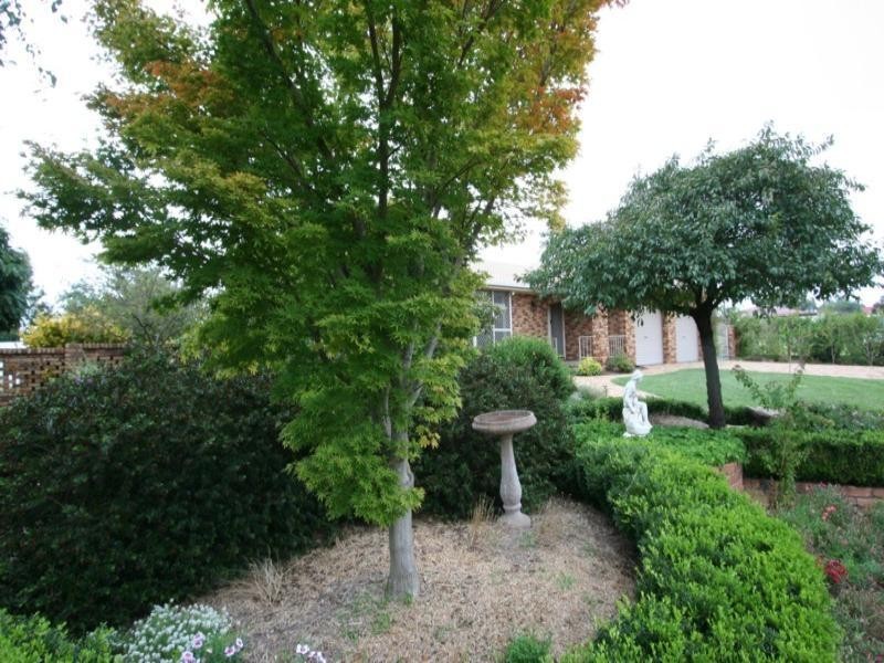 199 Pelham Street, Tenterfield NSW 2372