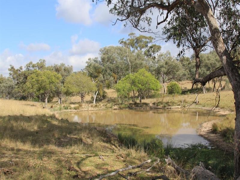 “Miltonvale” Back Creek Road, Tenterfield NSW 2372