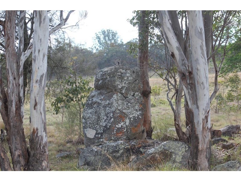 Tenterfield NSW 2372