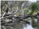 “Pinevale” Bonshaw Road, Tenterfield NSW 2372