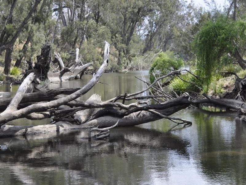“Pinevale” Bonshaw Road, Tenterfield NSW 2372