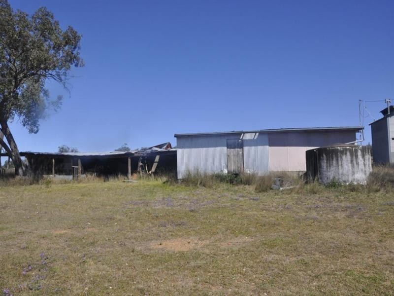 “Pinevale” Bonshaw Road, Tenterfield NSW 2372