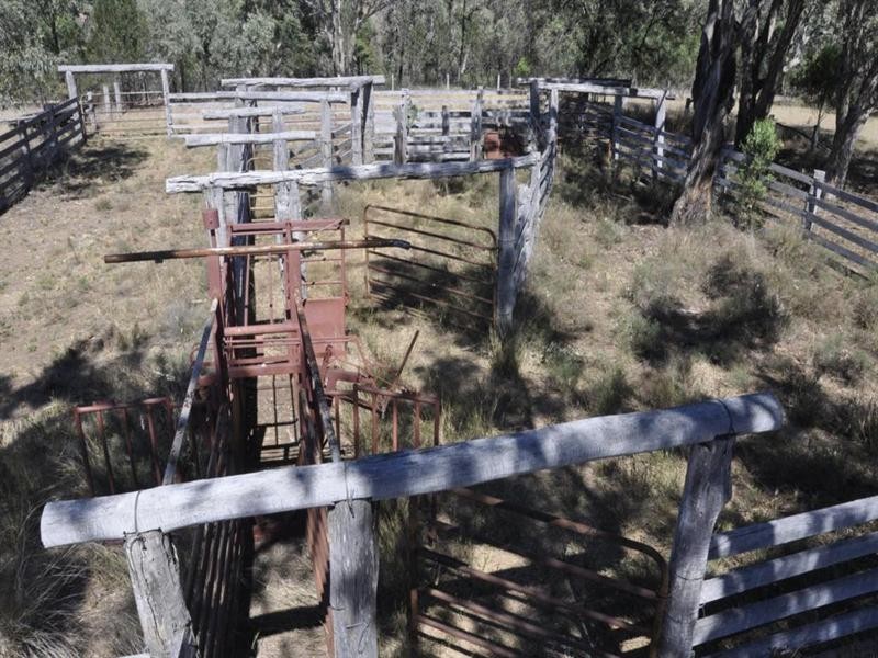 “Pinevale” Bonshaw Road, Tenterfield NSW 2372