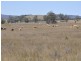 “Pinevale” Bonshaw Road, Tenterfield NSW 2372