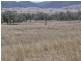 “Pinevale” Bonshaw Road, Tenterfield NSW 2372