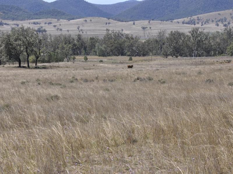 “Pinevale” Bonshaw Road, Tenterfield NSW 2372