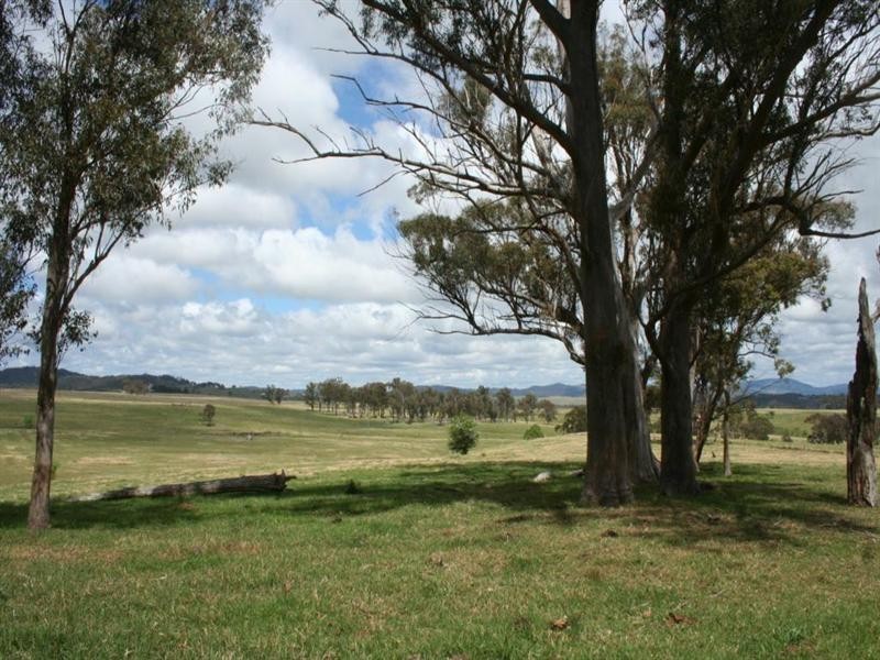 80 Nutshell Road, Tenterfield NSW 2372