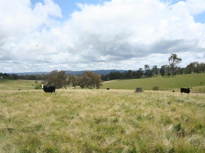 80 Nutshell Road, Tenterfield NSW 2372