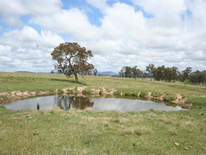 80 Nutshell Road, Tenterfield NSW 2372