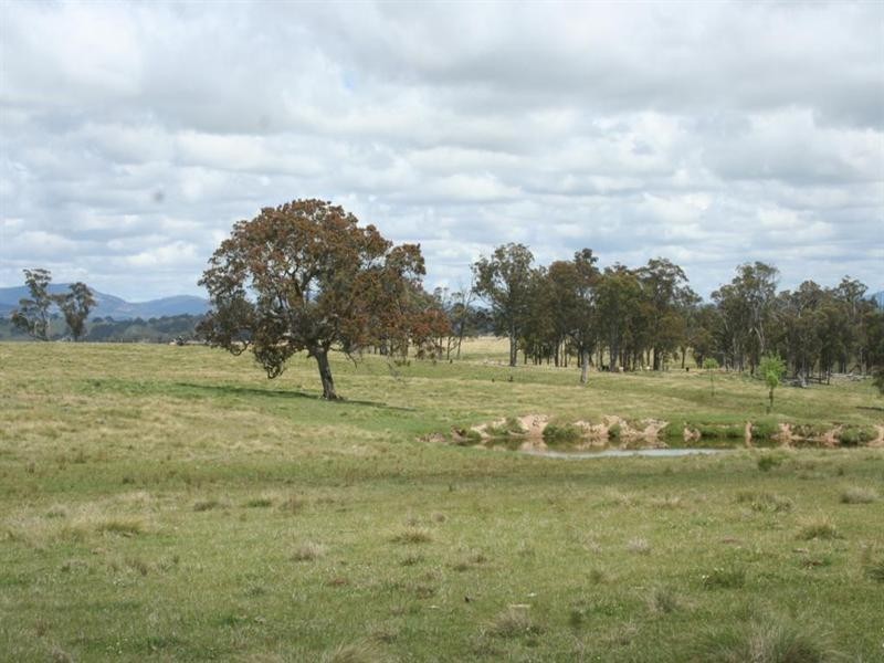 80 Nutshell Road, Tenterfield NSW 2372