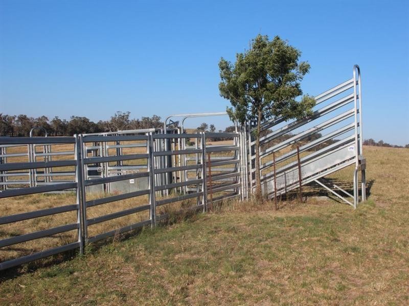 80 Nutshell Road, Tenterfield NSW 2372
