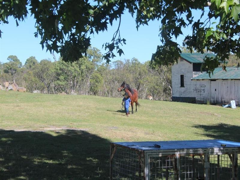 65 Barney Downs Road, Tenterfield NSW 2372