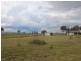 Lot 16 East Street, Tenterfield NSW 2372