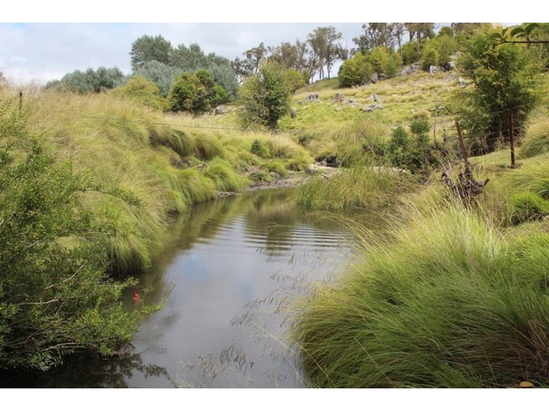 The Willows Mount Lindesay Road, Tenterfield NSW 2372