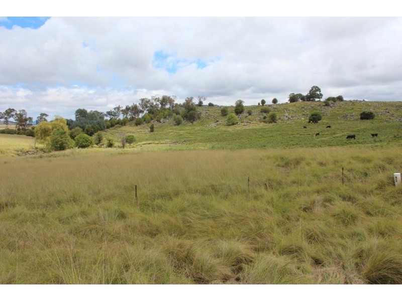 The Willows Mount Lindesay Road, Tenterfield NSW 2372