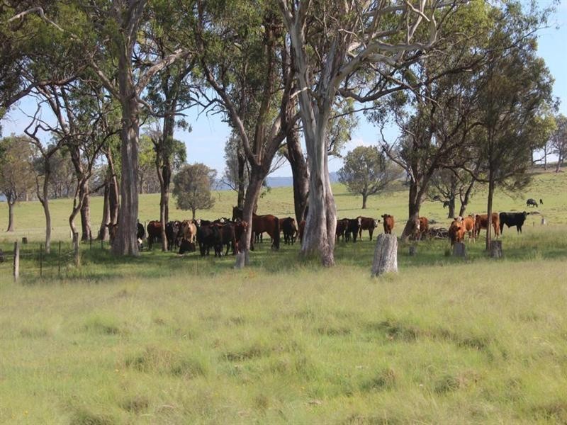 Lot 622 Sunnyside Loop Road, Tenterfield NSW 2372