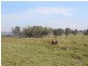 Lot 622 Sunnyside Loop Road, Tenterfield NSW 2372