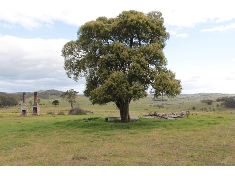 “Dougs Block” Wellington Lookout Road, Tenterfield NSW 2372