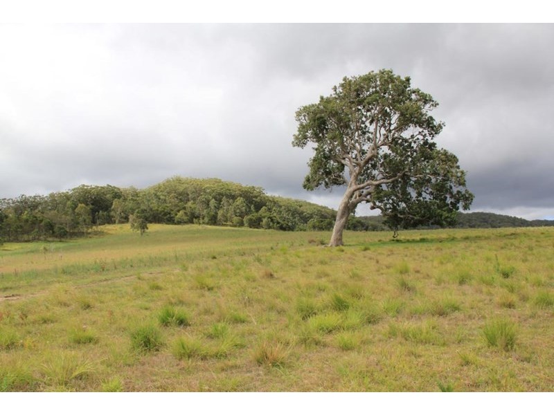 “Dougs Block” Wellington Lookout Road, Tenterfield NSW 2372