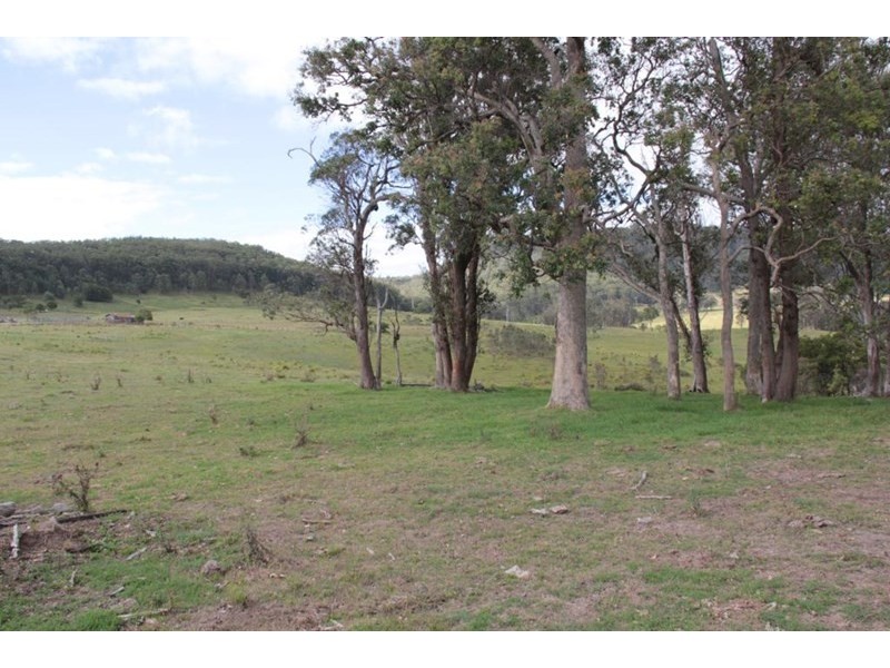 “Dougs Block” Wellington Lookout Road, Tenterfield NSW 2372