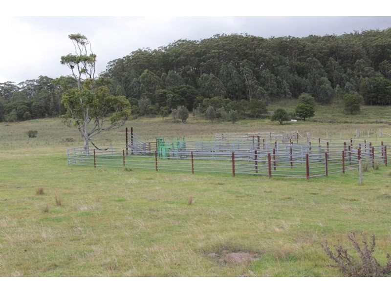 “Dougs Block” Wellington Lookout Road, Tenterfield NSW 2372