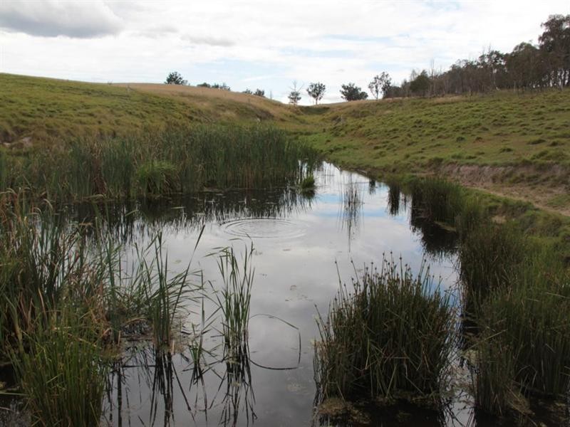 Lots 92 and 109 Timbarra Road, Tenterfield NSW 2372