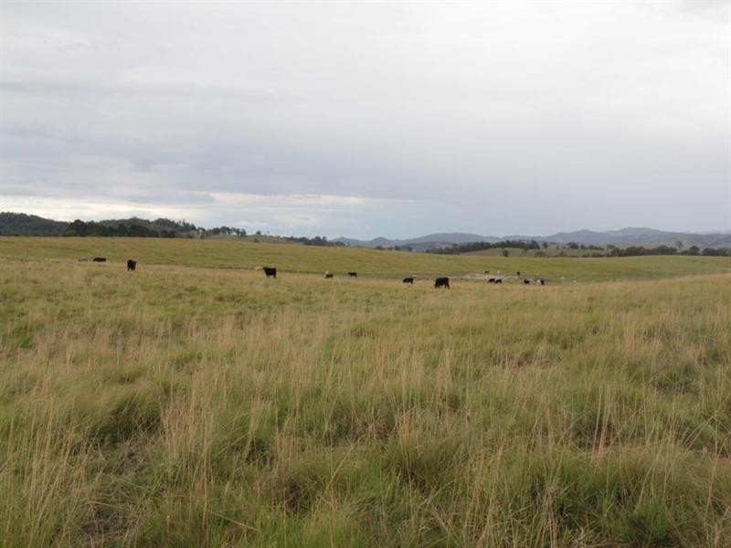 Lots 92 and 109 Timbarra Road, Tenterfield NSW 2372