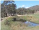 . Kildare Road, Tenterfield NSW 2372