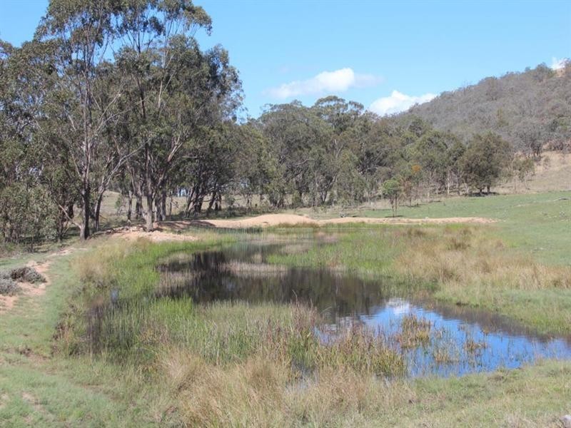 . Kildare Road, Tenterfield NSW 2372