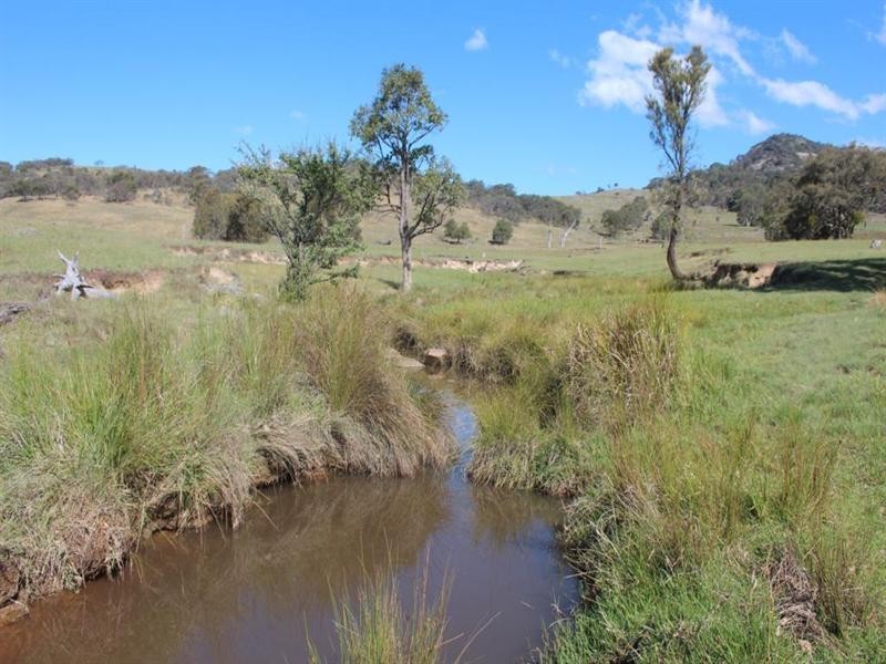 . Kildare Road, Tenterfield NSW 2372